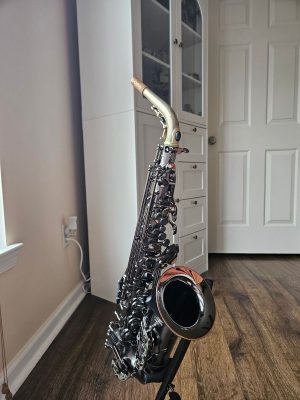 Cannonball Alto Saxophone - Raven Big Bell - Iced Black Nickel