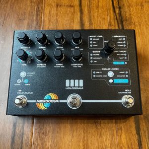 Hologram Electronics Microcosm Special Edition 2022 - Black